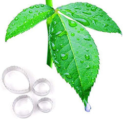 RKPM HOMES Cookie Cutter Set | Stainless Steel Gum Paste Cutter | Biscuit Mold Fondant Muffin Cup Cake Decoration | Tools for Holiday Party Wedding Birthday (4 Pcs Rose Petal Leaf Shape)