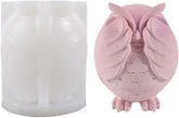 RKPM HOMES Birds Candle Mold I 3D Cute Owl Shape Silicone Epoxy Casting Mould I for DIY Handmade Ornament, Cake Décor, Aromatherapy, Soap, Resin Art Craft Making, Home Office Decoration (Don’t Watch)