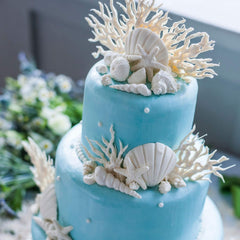RKPM HOMES Seashell Starfish Conch Shape Cake Mould | Fondant Silicone Mold | 3D Clay DIY Mold Cake Decor Tools | Baking Tools for Chocolate Pinna Jelly Baking Soap | for Cake Decorating