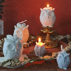 RKPM HOMES Candle Mold I 3D Large Owl Shape Silicone Scented Wax Mould I Succulent Molds for Handmade Ornament Aromatherapy Soap, Clay, Resin Epoxy Casting, Art Craft Making Home Party Decoration