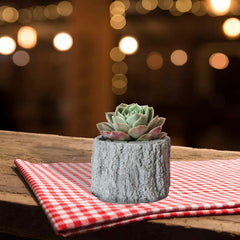 RKPM HOMES Planter Mold I Tree Stump Flower Casting Plant Silicone Epoxy Cement Mould I Succulent Concrete Molds for DIY Handmade Jewelry Trinket Makeup Storage Candle Flower Pot Pen Holder