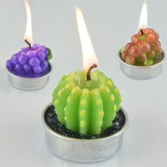 RKPM HOMES Candle Molds | 3D Fruits Shape Fondant Silicone Wax Mould | Succulent Molds | Handmade Candles Making | Mould for Mousse Dessert Soap Cake DIY Decorating – 1 Cavity (Cactus Shape)