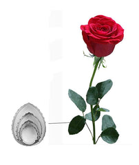 RKPM HOMES Cookie Cutter Set | Stainless Steel Gum Paste Cutter | Biscuit Mold Fondant Muffin Cup Cake Decoration | Tools for Holiday Party Wedding Birthday (4 Pcs Rose Petal Leaf Shape)