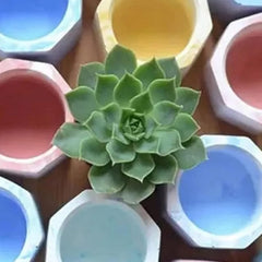 RKPM HOMES Planter Mold I Casting Plant Silicone Epoxy Candlestick Mould I Succulent Concrete Flower Pots Molds for DIY Jewelry Trinket Storage, Makeup Container Home Decoration – 3 Cavity (Star)