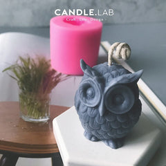 RKPM HOMES Owl Shape Candle Mold I 3D Fondant Silicone Scented Wax Mould I Succulent Molds | Handmade Candles Making | for Mousse Dessert Soap Cake DIY Decorating
