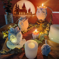 RKPM HOMES Candle Mold I 3D Large Owl Shape Silicone Scented Wax Mould I Succulent Molds for Handmade Ornament Aromatherapy Soap, Clay, Resin Epoxy Casting, Art Craft Making Home Party Decoration