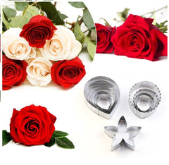 RKPM HOMES Cookie Cutter Set | Stainless Steel Gum Paste Cutter | Biscuit Mold Fondant Muffin Cup Cake Decoration | Tools for Holiday Party Wedding Birthday (11 Pcs Rose Petal, Leaf and Star Shape)