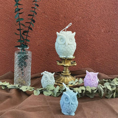 RKPM HOMES Candle Mold I 3D Large Owl Shape Silicone Scented Wax Mould I Succulent Molds for Handmade Ornament Aromatherapy Soap, Clay, Resin Epoxy Casting, Art Craft Making Home Party Decoration