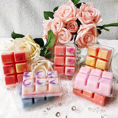RKPM HOMES Wax Melt Mold I Square Shape Empty Plastic Clear Cube Tray I Reusable Clamshells Mould for DIY Handmade Wickless Tarts Candles Chocolate Ice Cube Soap Making Supplies - 6 Cavity (100 Pcs)